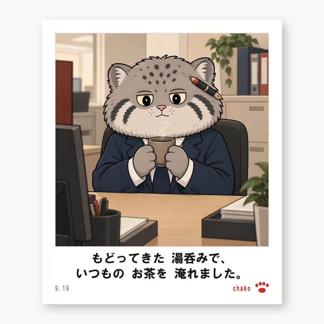 チェキ チャコ